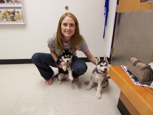 
Precio Siberian husky...........<strong>            $18,500.00  A  $22,000.00  (dependiendo del color)</strong> <br><br>


100% pura raza, registrados todos los papeles en regla se envian a cualquier parte de la Republica.<br><br> 

<li>Contrato de compraventa<br><br></li>


<li>Seguro de vida gratuito por escrito de 5 años que cubre muerte en caso de cuestiones virales</li>
<br><br>

<li>Garantía de Pureza Racial<br><br></li>

<li>Certificado de registro inicial que extiende la Federación Canófila Mexicana donde los cachorros se entregan con tatuaje y microchip</li>

