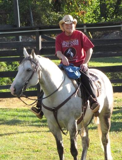 Caballo cuarto de milla disponible masculina