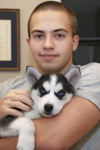 Ternura cachorros Siberian Husky 